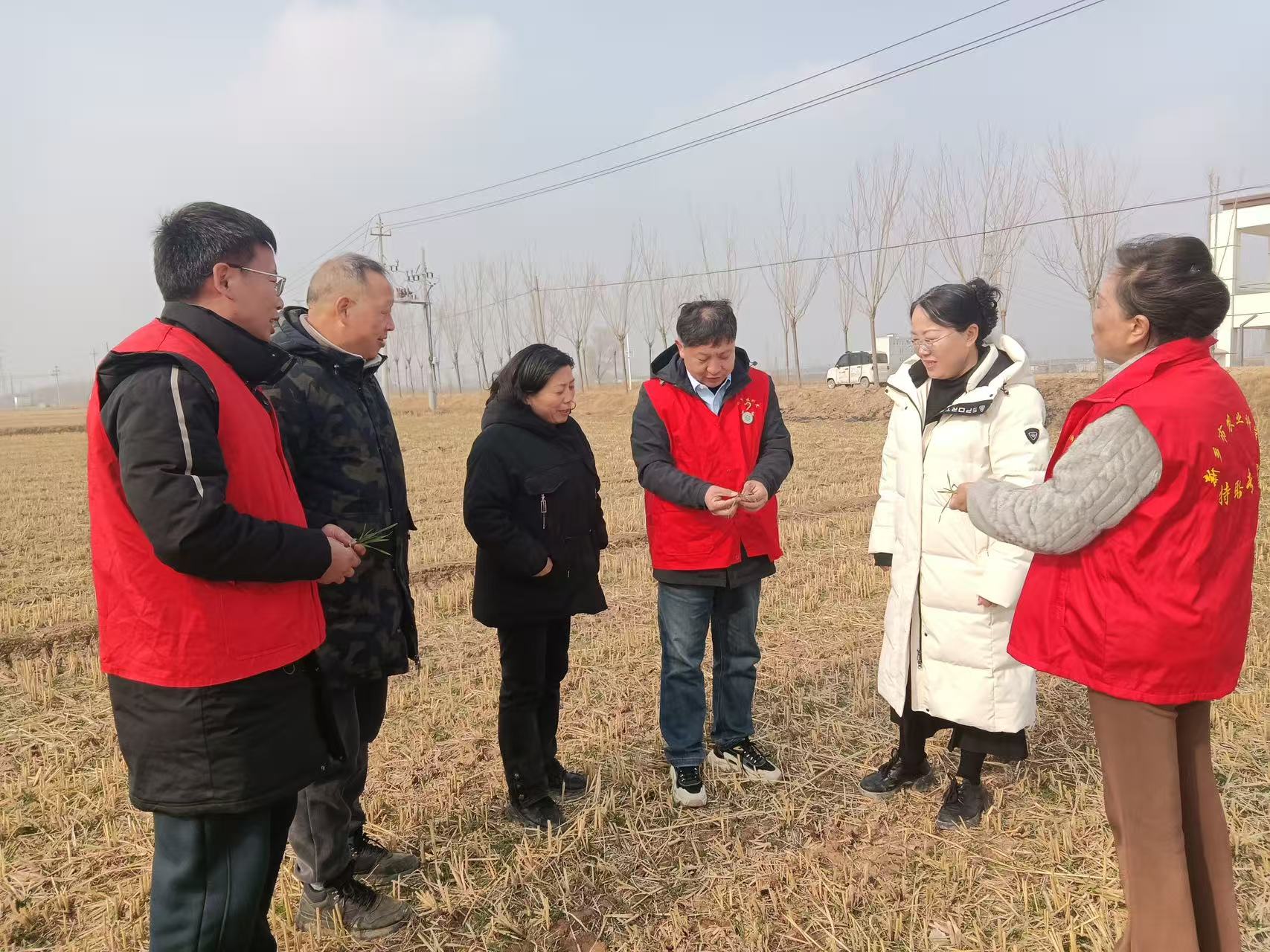 科技下乡护航小麦安全越冬
