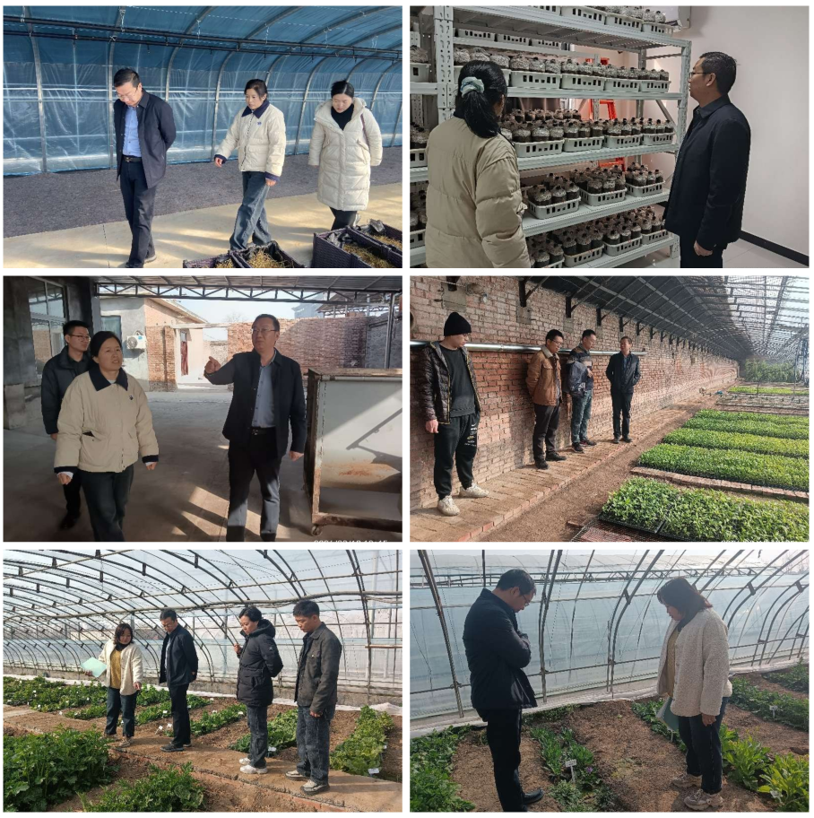 院长徐鹏亮节前深入基地检查安全生产 并慰问一线员工