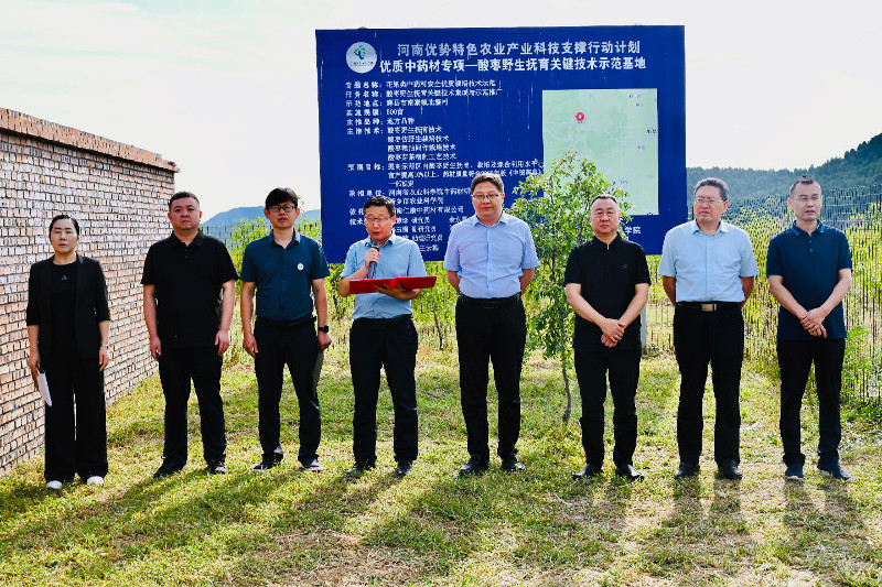 科技赋能道地药产  观摩聚力产业振兴——河南“优特计划”优质中药材专项酸枣紫苏现场观摩会在新成功举办