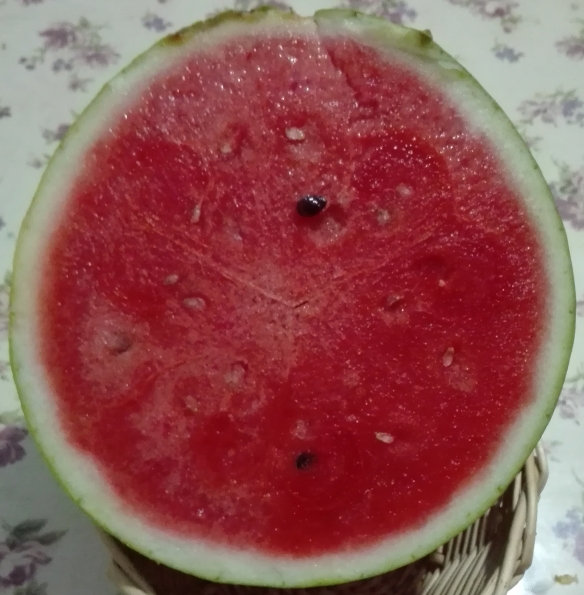 新绿秀剖面（非原图）