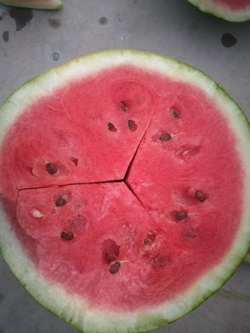 绿佳1号剖面（非原图）