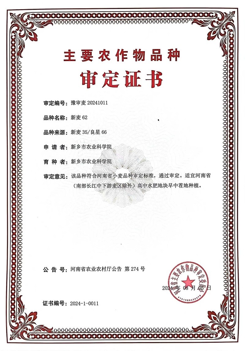 新麦62-审定证书