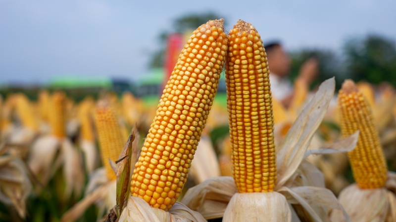 微信图片_20251104152411_16_232